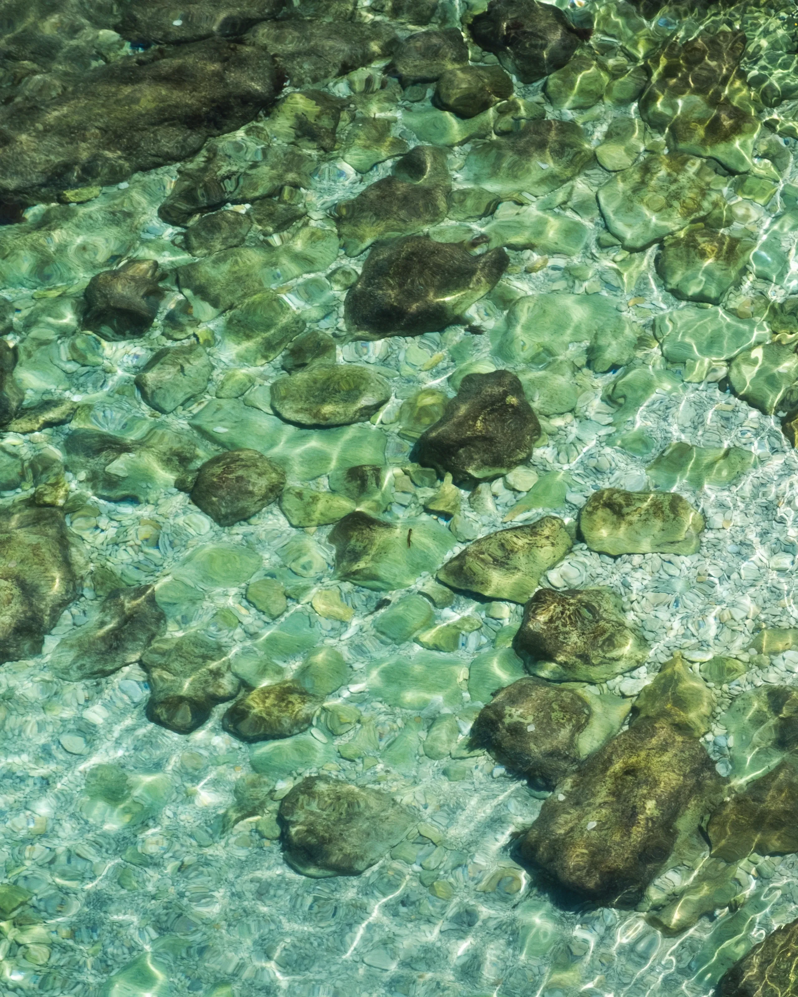 Clear turquoise water over mossy stones, seen from above
