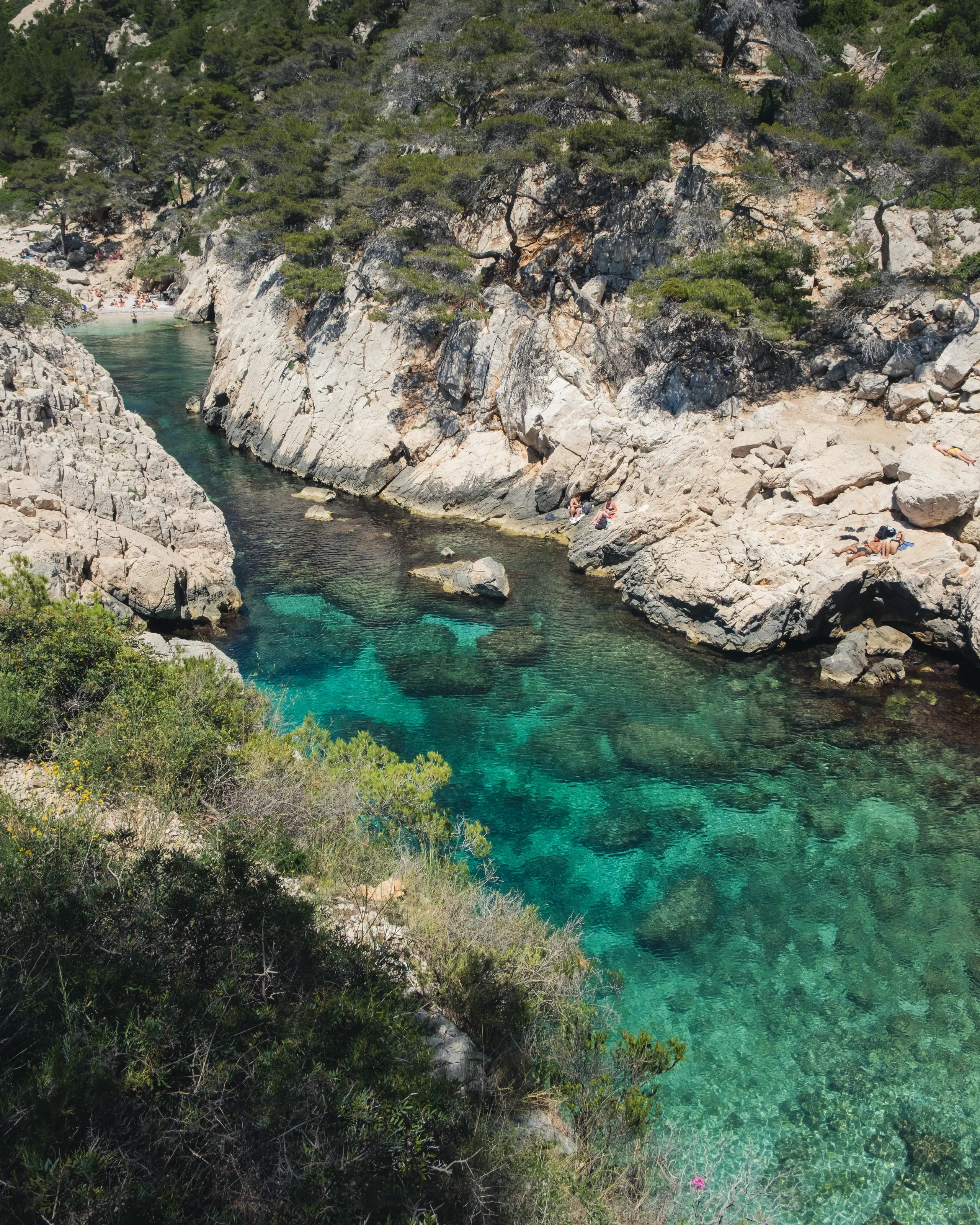 A turquoise inlet winding between cliffs and green scrub