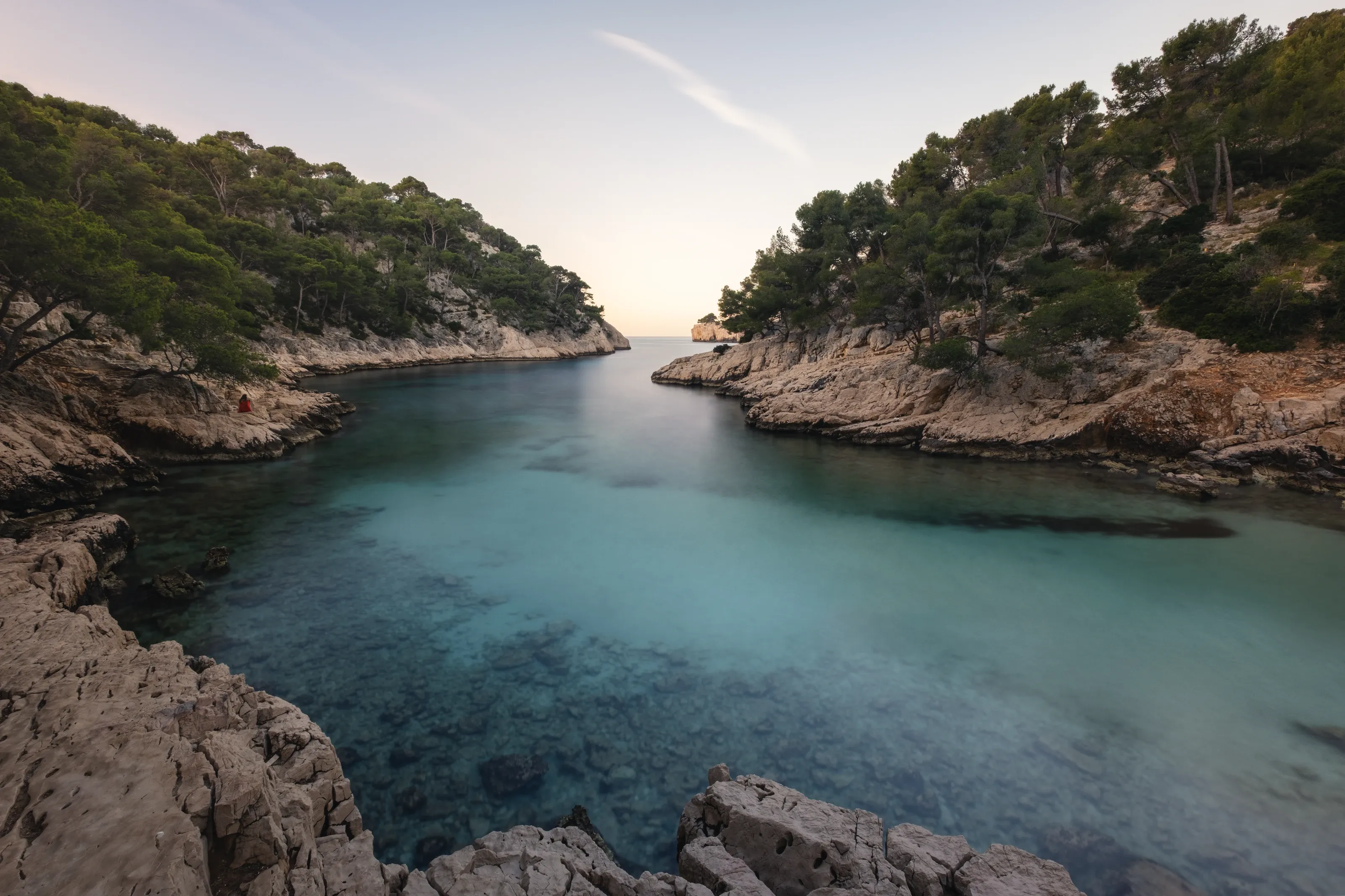 A calm cove at dawn between rocky, pine-covered headlands