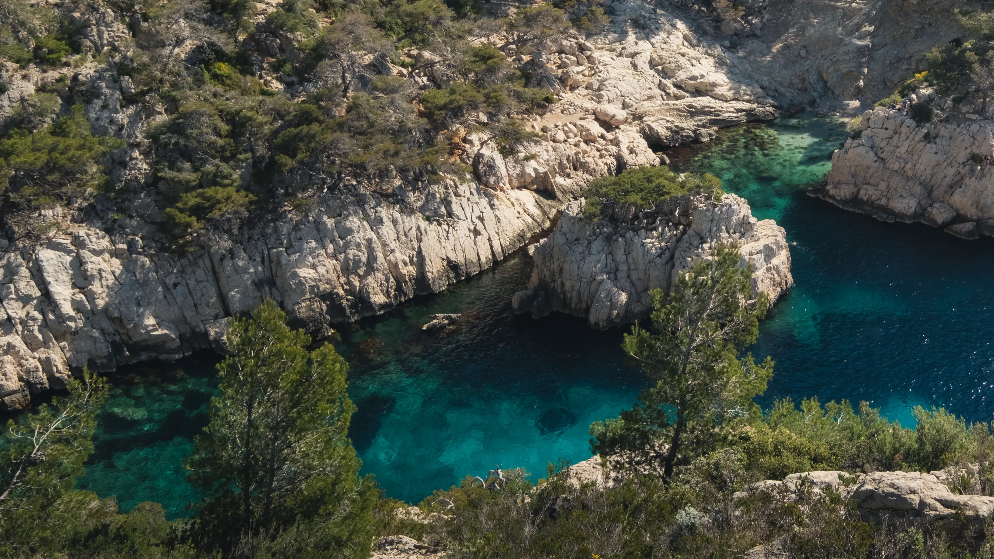 A turquoise pool in a calanque between white rocks and pines